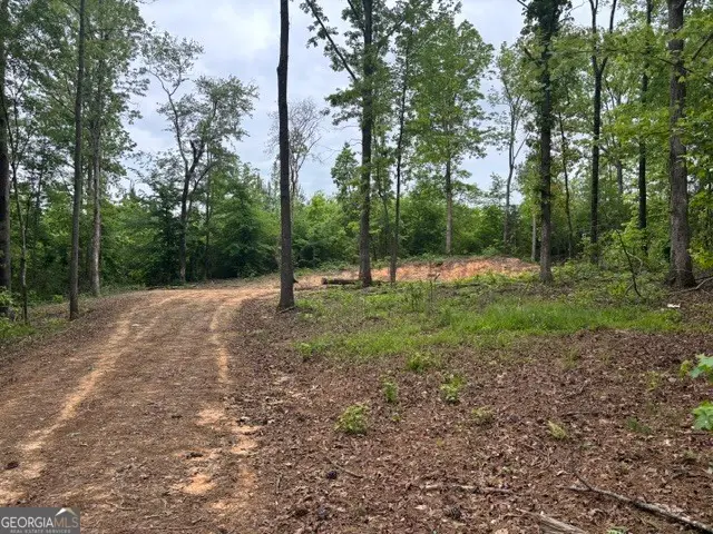 TRACT 1 343 County Road 892, Wedowee, AL 36278 - #2