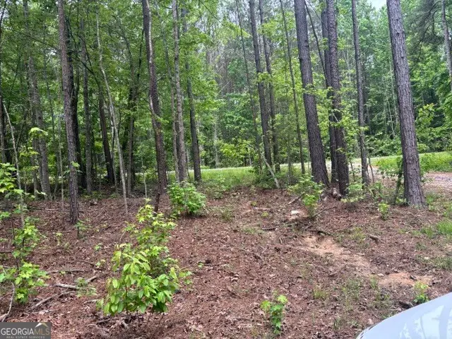 TRACT 1 343 County Road 892, Wedowee, AL 36278 - #3