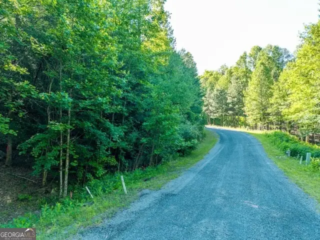 LOT 52 The Preserve Mountaintown Creek, Ellijay, GA 30540 - #3