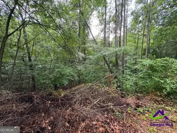 172 Waters Pointe, Lizella, GA 31052