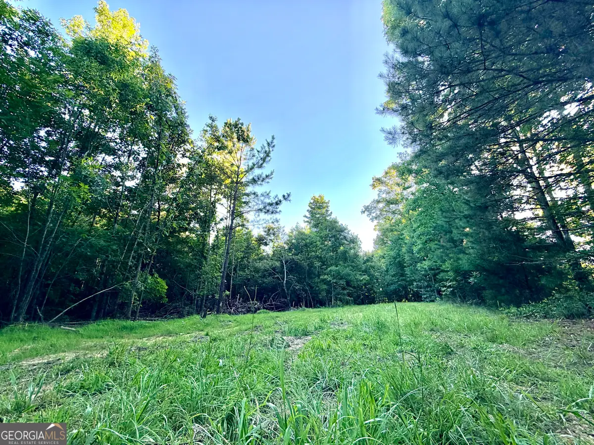 2787 Cedar Creek Road, Elberton, GA 30635 - #1