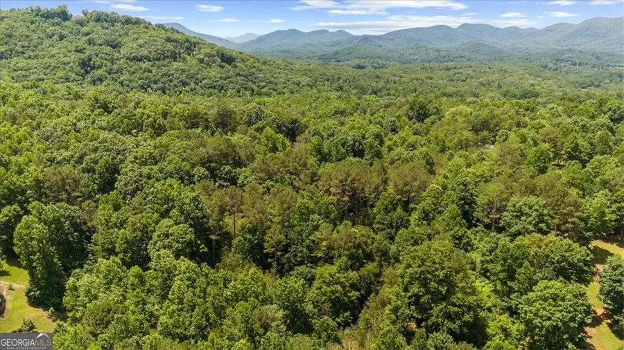 LOT 60 Meadow Brooke Drive, Young Harris, GA 30582 - #2