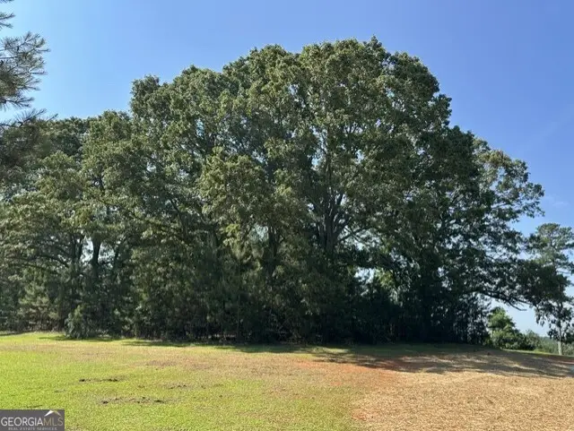 3511 New High Shoals Road, Bishop, GA 30621 - #2