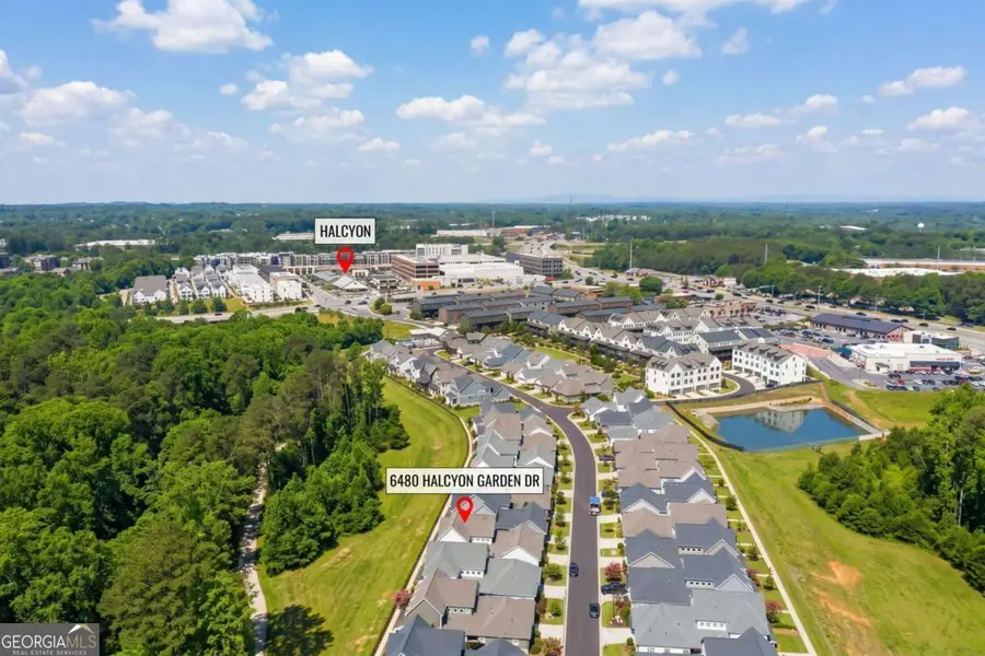 6480 Halcyon Garden Drive, Alpharetta, GA 30005 - #3