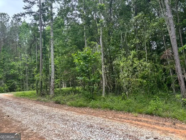 TRACT 2 343 County Road 892, Wedowee, AL 36278 - #1