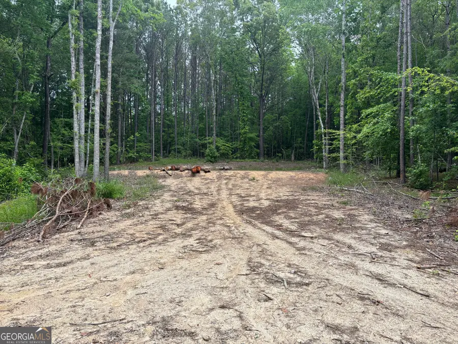 TRACT 2 343 County Road 892, Wedowee, AL 36278 - #3