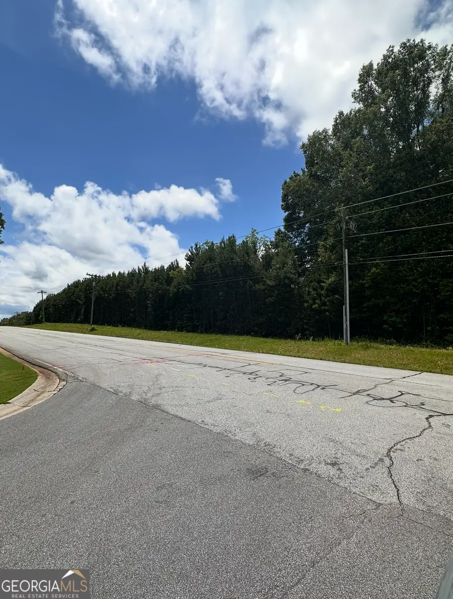 0 Bob Smith Road #12, Sharpsburg, GA 30277 - #3