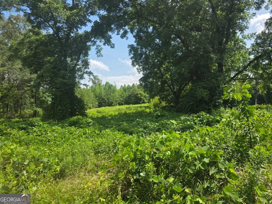 0 W Atlanta St Off, Tallapoosa, GA 30176 - #3
