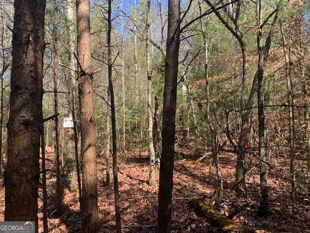 0 East New Hope Road #TRACT C, Ellijay, GA 30536 - #1