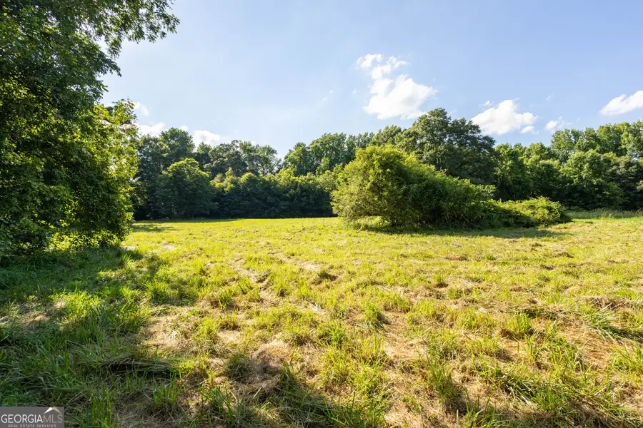 248 Starrs Bridge Rd Tract 1, Canon, GA 30520 - #3