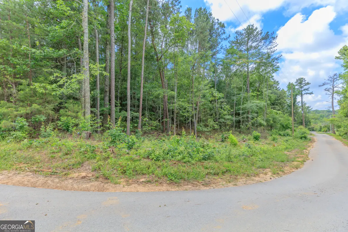 0 Wallaceville Cemetery Road, Chickamauga, GA 30707 - #1