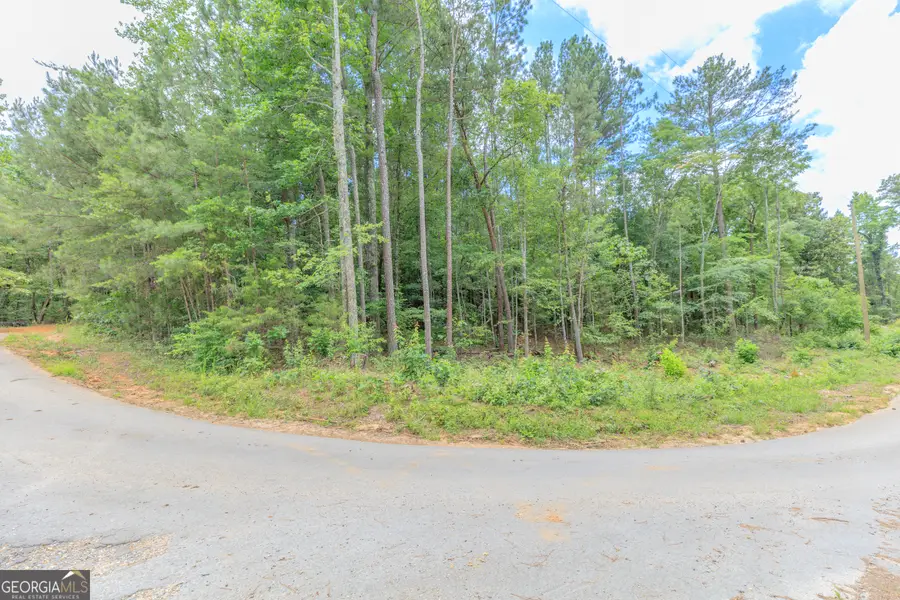 0 Wallaceville Cemetery Road, Chickamauga, GA 30707 - #2