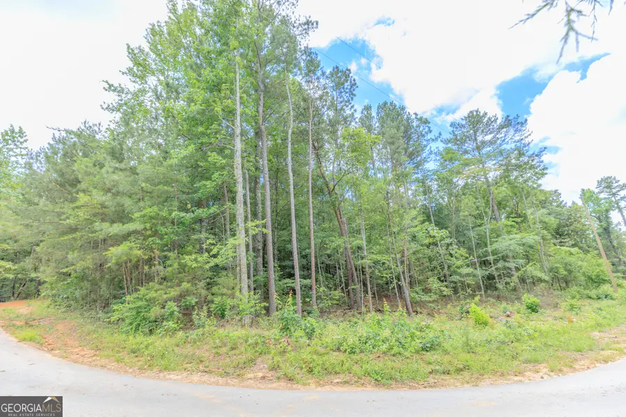 0 Wallaceville Cemetery Road, Chickamauga, GA 30707 - #3