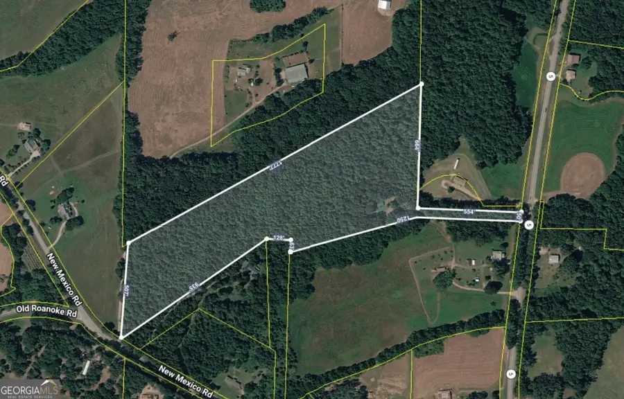 4104 W 5 Highway, Bowdon, GA 30108 - #2