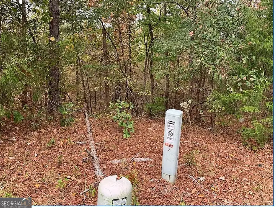 4103 Sierra Court Sw, Stockbridge, GA 30281 - #3