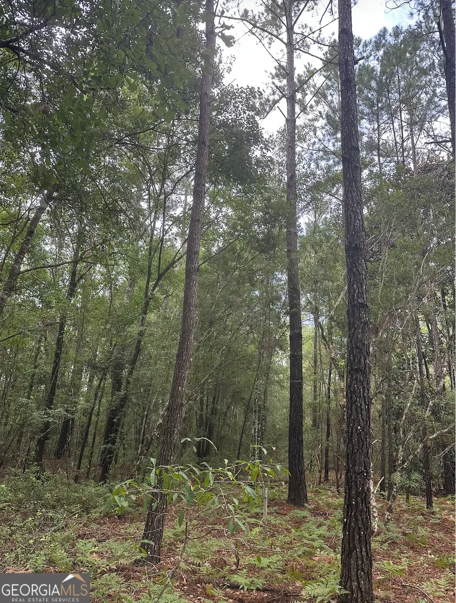 V/L 1 Aberdeen Drive, Waverly, GA 31565 - #3
