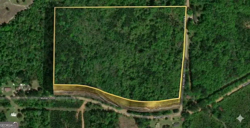 0 Mulberry/moore Road, Brantley, AL 36009 - #1