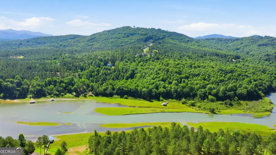 511 Sandy Lake Lane, Blairsville, GA 30512 - #3