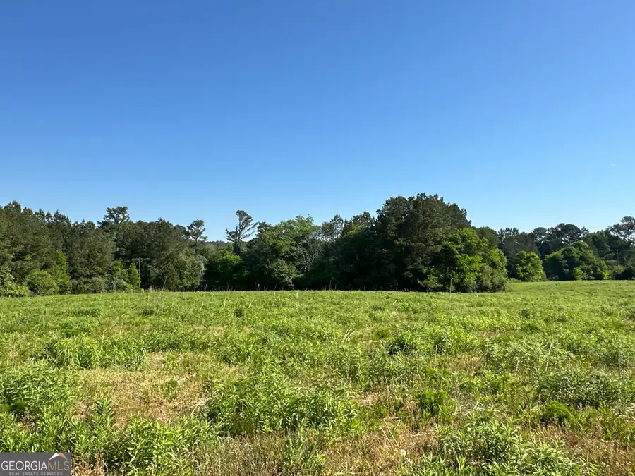 TRACT 4 120 Popham Road, Taylorsville, GA 30178 - #2