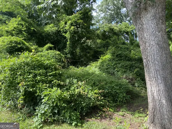 0 Dogwood North Avenue, Social Circle, GA 30025