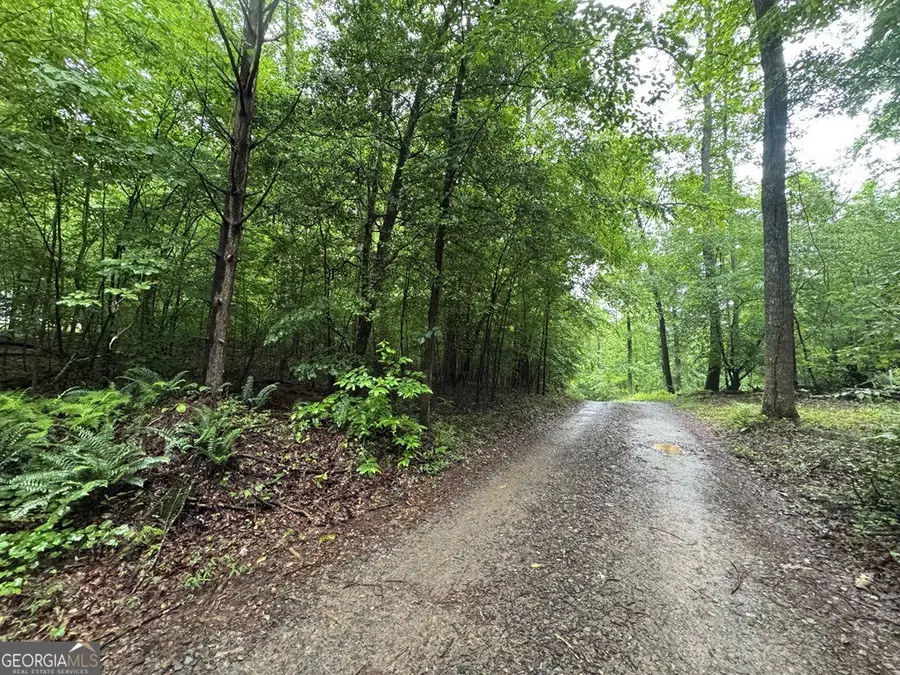 1.23 AC Bear Run Circle #101,117-9, Ellijay, GA 30540 - #2