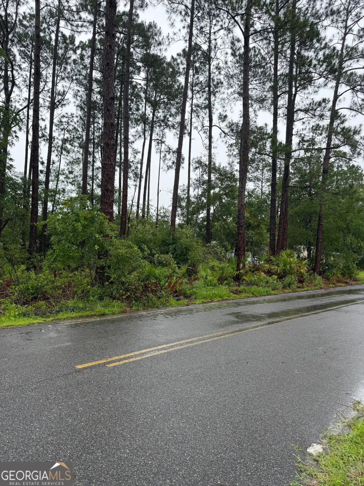 .30 Gibson Street, Nahunta, GA 31553 - #1