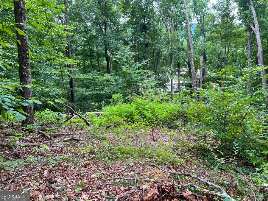 0 Shannon Drive, Dalton, GA 30720 - #3
