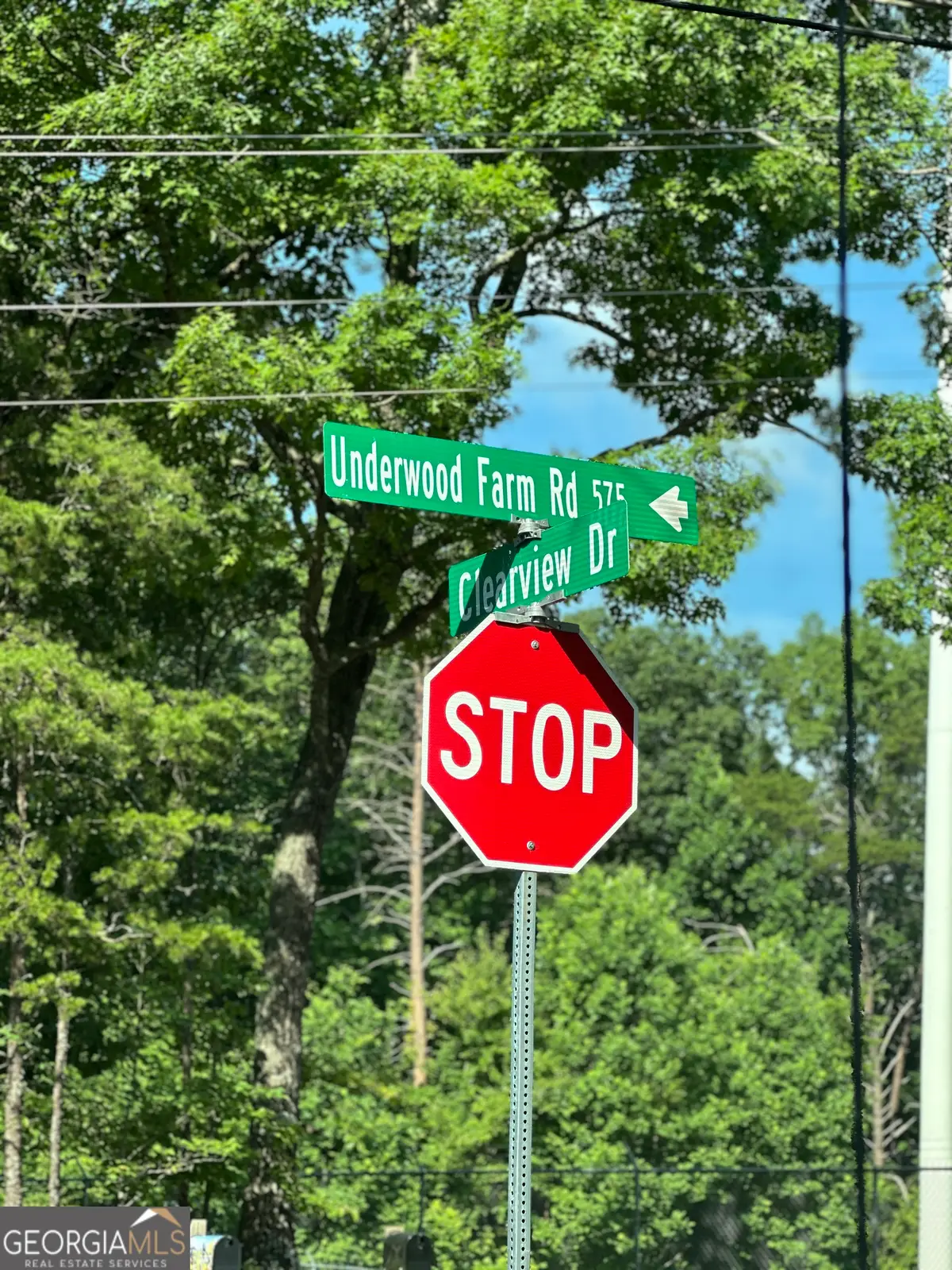 LOT 6,7,8,9,10 Clearview Drive, Cleveland, GA 30528 - #1