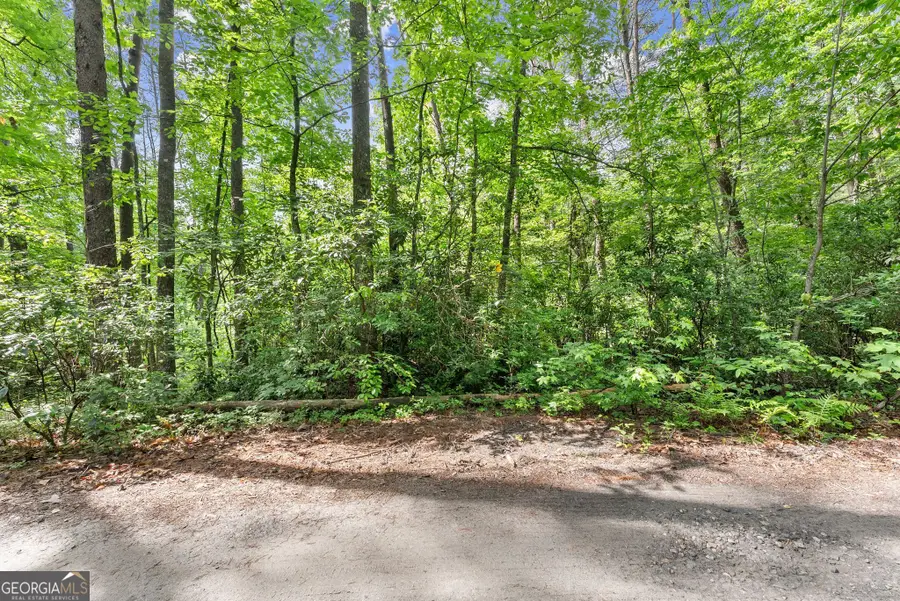 0 Sweetheart Lane, Sautee Nacoochee, GA 30571 - #2