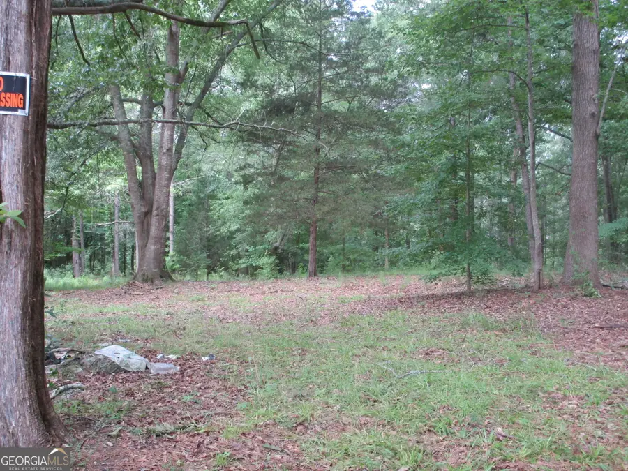 335 Amelia Road, Griffin, GA 30223 - #3
