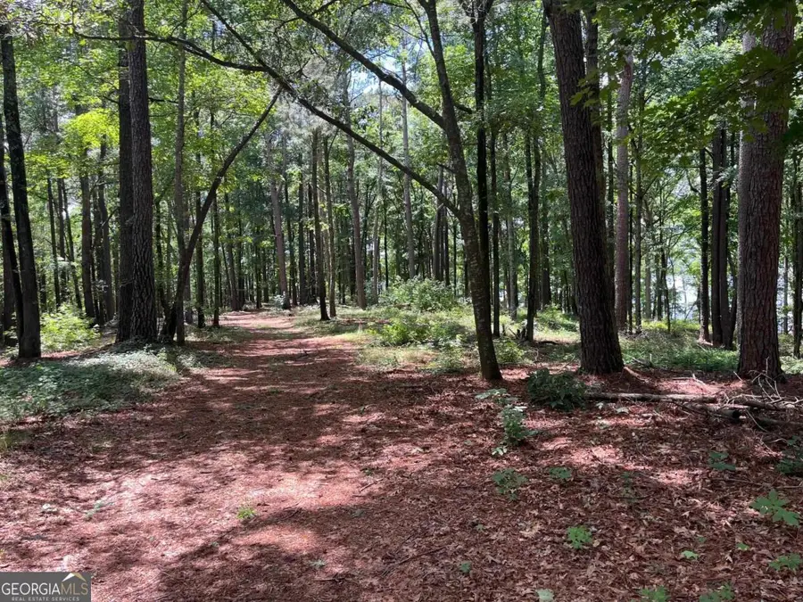 1603 Pullman Lane, Greensboro, GA 30642 - #3