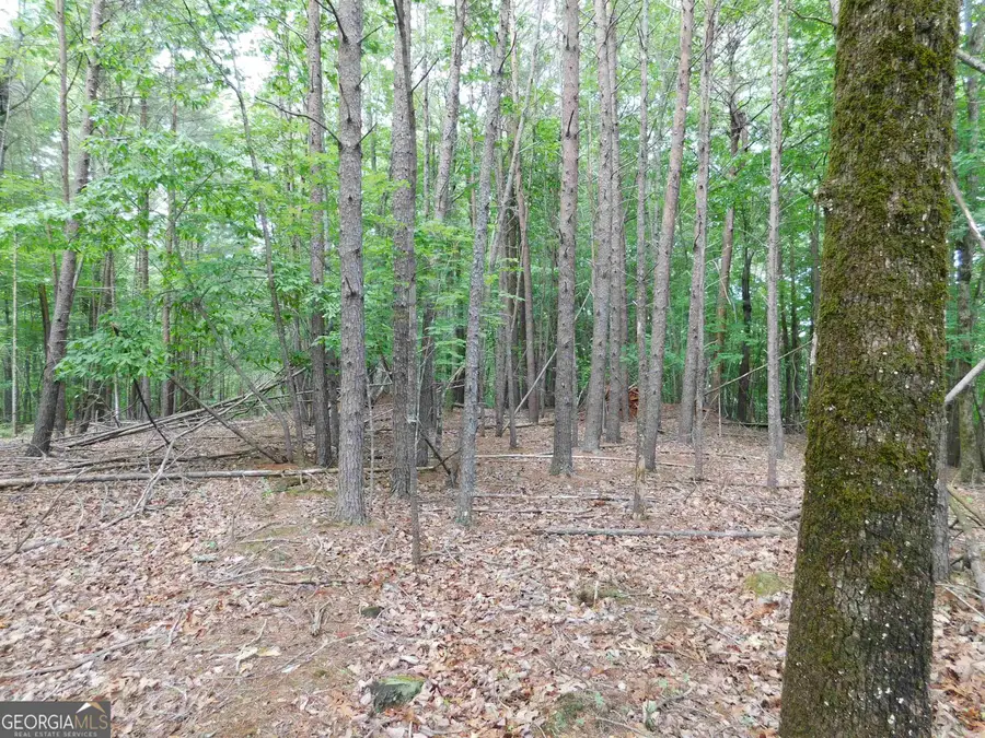 0 Panorama Drive, Sautee Nacoochee, GA 30571 - #3