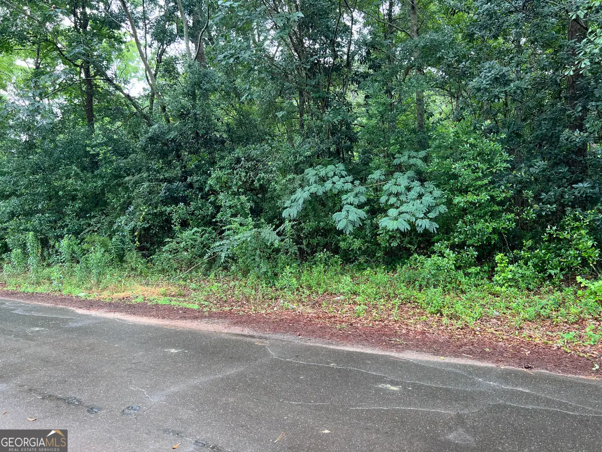 0 Harmony, Richland, GA 31825 - #1