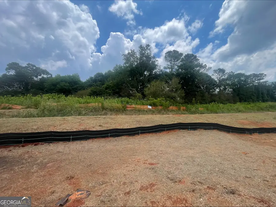 8855 Mckaskey Lane #LOT 152, Ball Ground, GA 30107 - #3