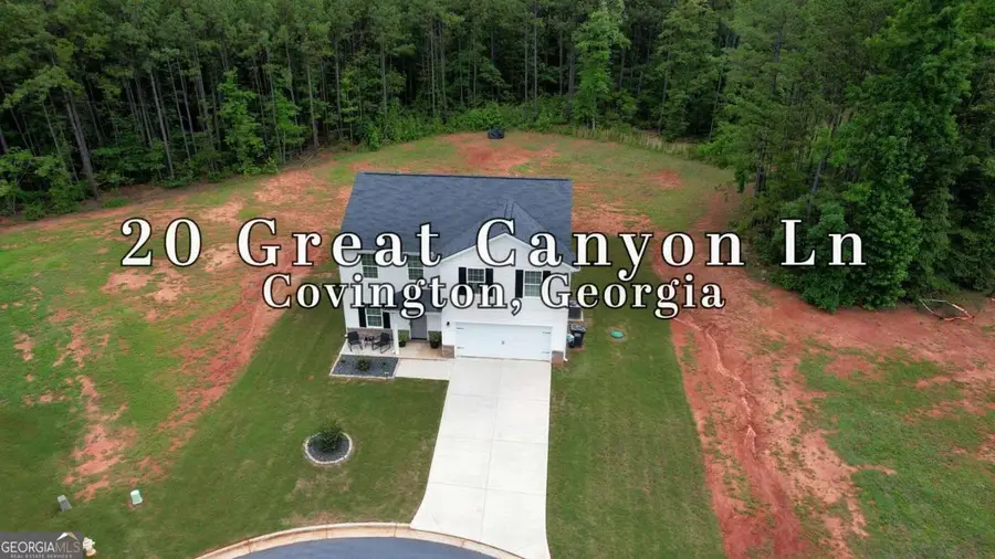20 Great Canyon Lane, Covington, GA 30016 - #3