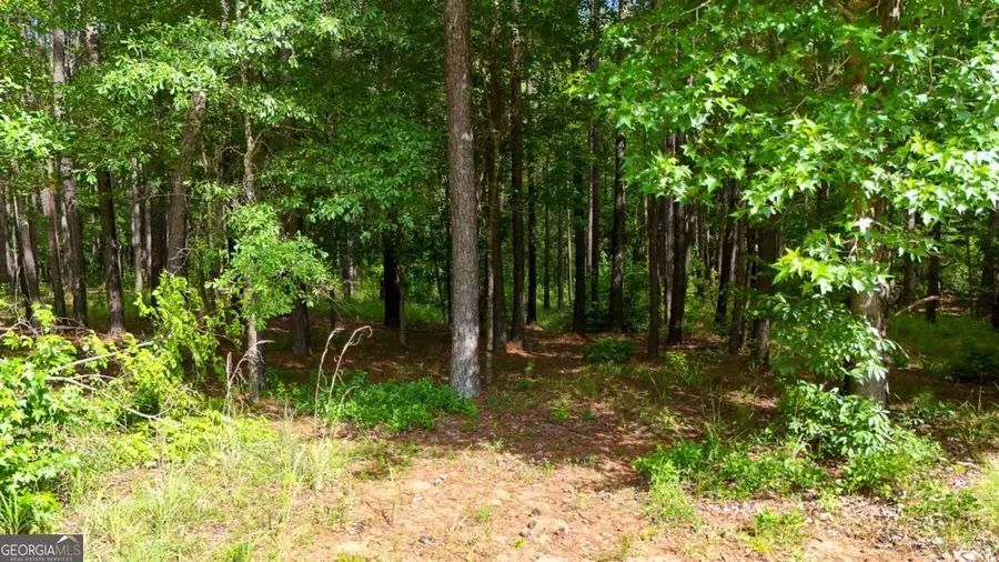 331 Pebble Hollow Drive, Milledgeville, GA 31061 - #3