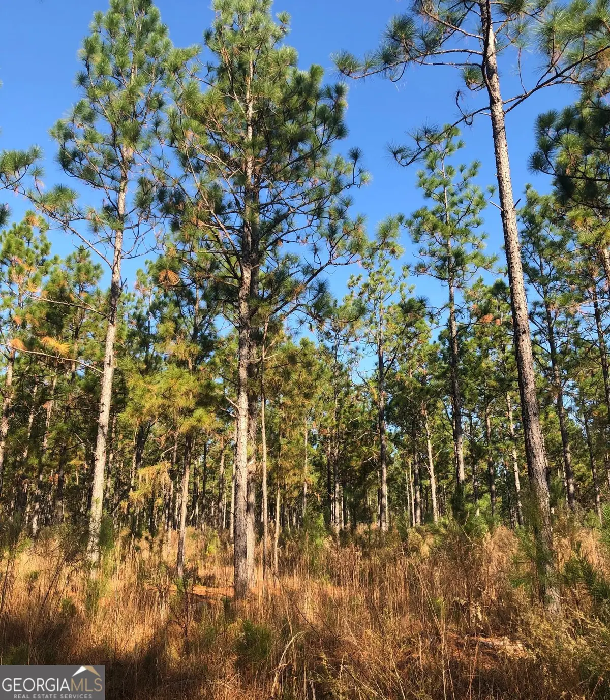 1400 Mount Olive Road, Dublin, GA 31021 - #1