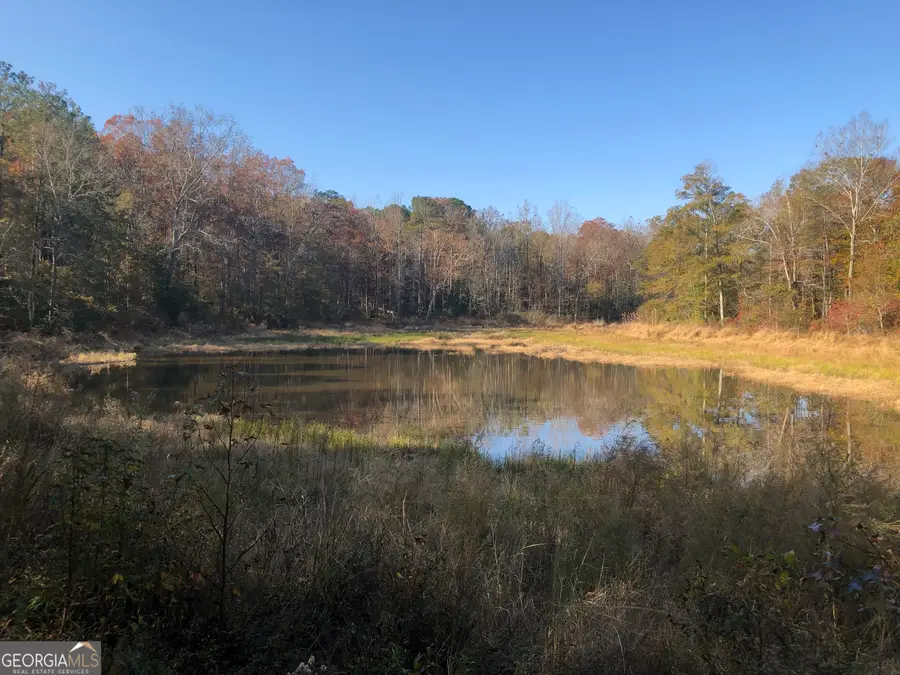 1400 Mount Olive Road, Dublin, GA 31021 - #2