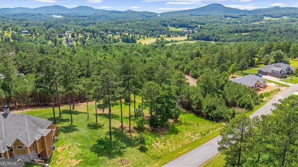 LOT 276 The Cove @ 1300, Blairsville, GA 30512 - #1