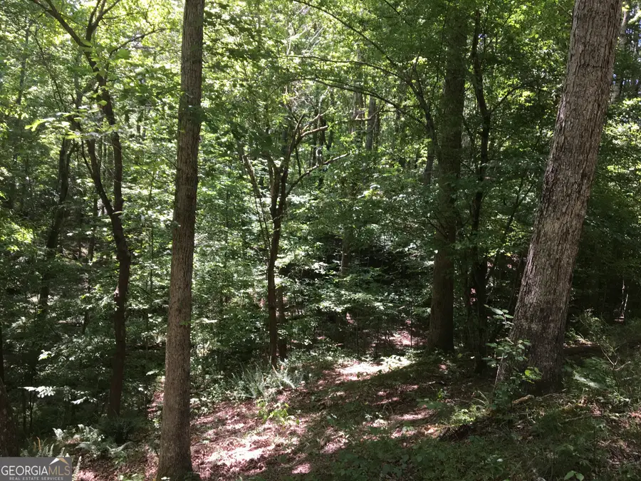 0 Damascus Road, Ball Ground, GA 30107 - #2