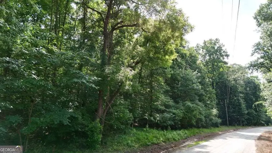 893 Hickory Hills Road, Danielsville, GA 30633 - #3