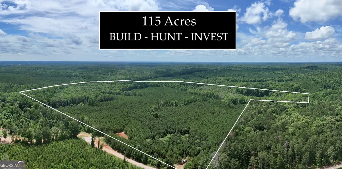 0 Noles Road, Franklin, GA 30217 - #1