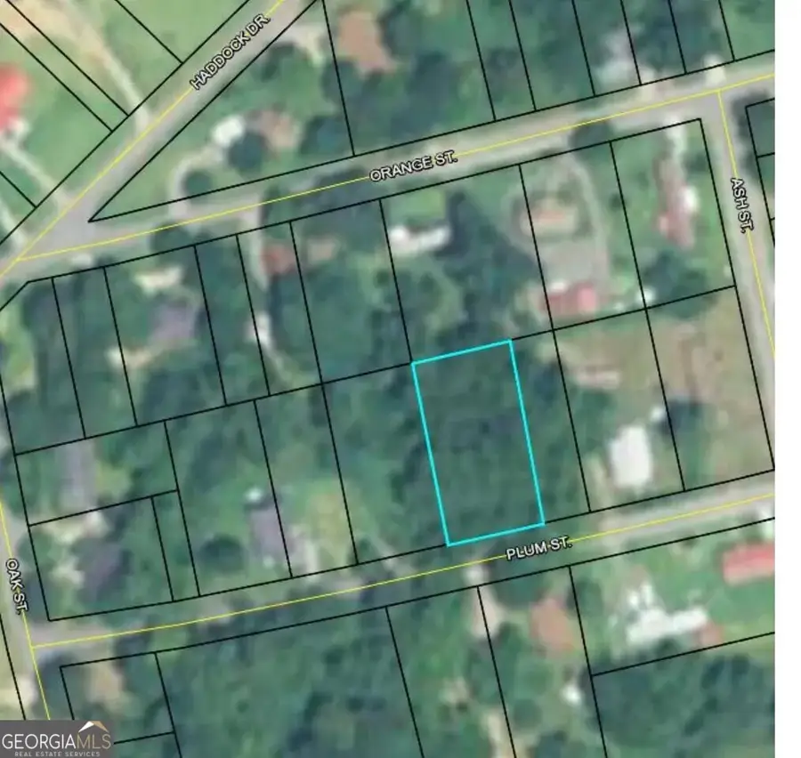 147 Plum Street, Haddock, GA 31033 - #2