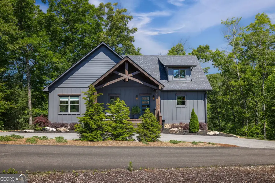 141 Long View Lane, Blue Ridge, GA 30513 - #3