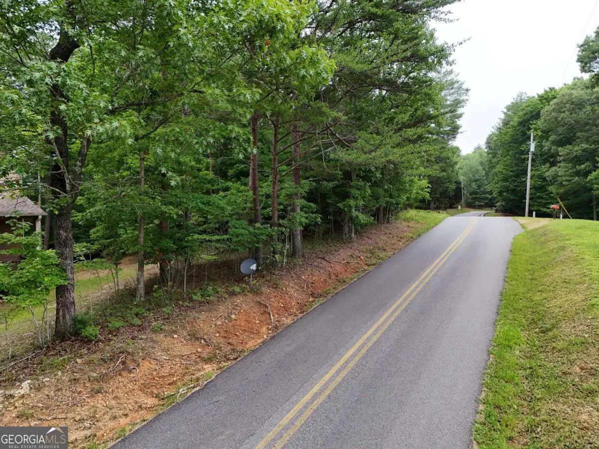 LOT 3 Cook Henry Road, Blairsville, GA 30512 - #1