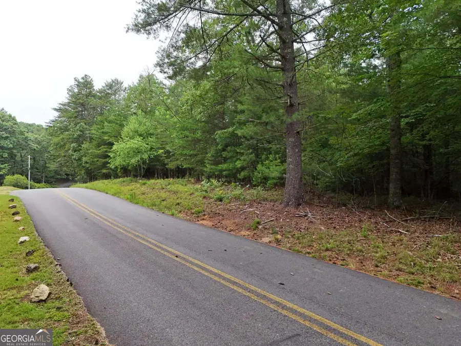 LOT 3 Cook Henry Road, Blairsville, GA 30512 - #3