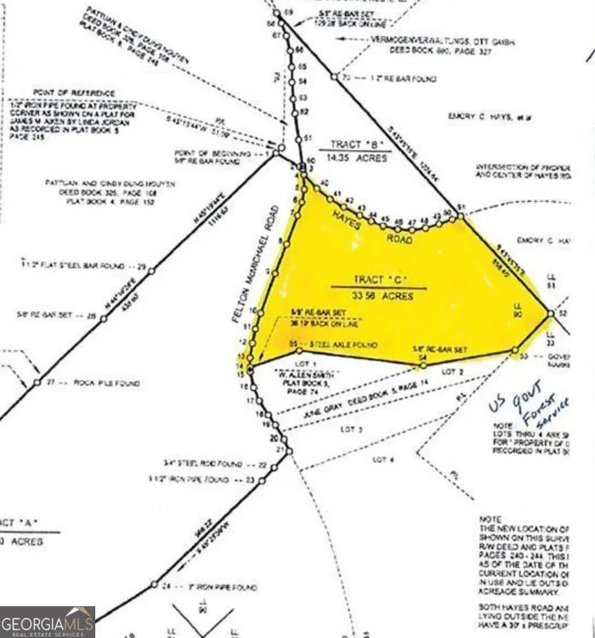 0 Felton Mcmichael Rd & Hayes - Landlot 090 Road, Monticello, GA 31064 - #1