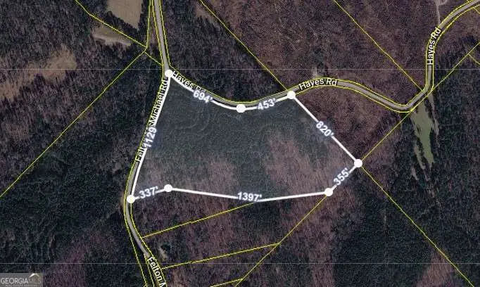 0 Felton Mcmichael Rd & Hayes - Landlot 090 Road, Monticello, GA 31064 - #2