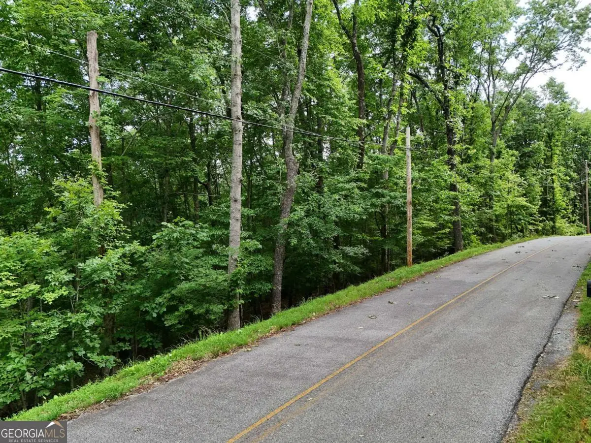 LOT 131 Laurel Crossing, Blue Ridge, GA 30513 - #1