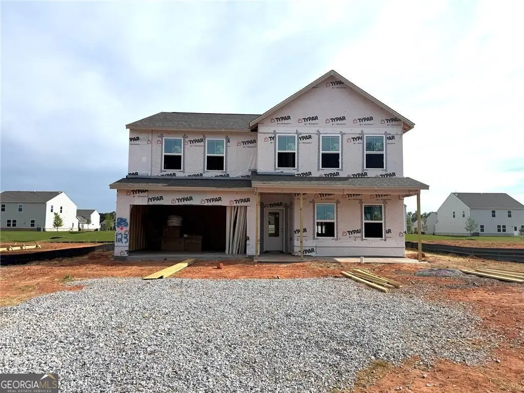 244 Delilah Street, McDonough, GA 30252 - #1